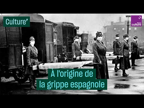 À l'origine de la grippe espagnole - #CulturePrime À l'origine de la grippe espagnole - #CulturePrime