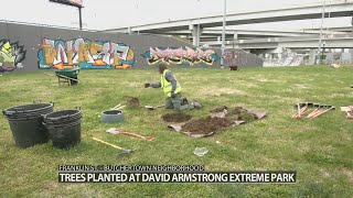 Volunteers plant trees at Louisville's skate park as part of effort to expand city's tree canopy