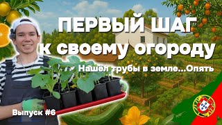 Первые посадки в Португалии: кабачки, огурцы и закопанные тайны! Выпуск 6
