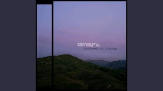 Won't Forget You (Instrumental)