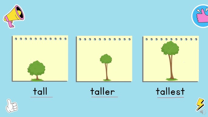 The concept of Tall, Taller and Tallest. 