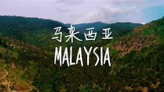 金種子 - 馬來西亞貓山王 - 中國南寧榴蓮節宣傳片 - BEHO Fresh (碧和果業)