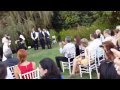 Clever dog brings the Bride and Groom their rings at wedding