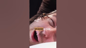 Myths Debunked: 5 Everyday Lies Busted in 40 Seconds