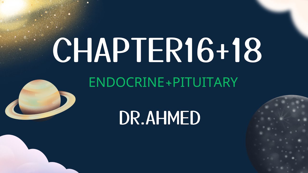 فسلجة | بلاد الرافدين | الوزاري | المحاضرة الثانية |  دكتور احمد حازم