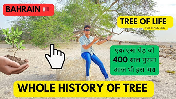 Tree of life | in Bahrain 400 years old | whole story | #indianvlogger #bahrain #desert #viral