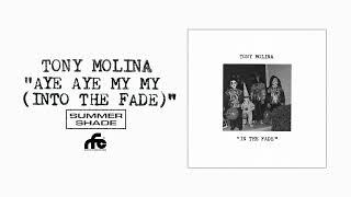 Tony Molina - Aye Aye My My (Into the Fade)