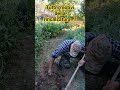 TUTTI GLI APPROFONDIMENTI NEL VIDEO CORRELATO....🔝😉