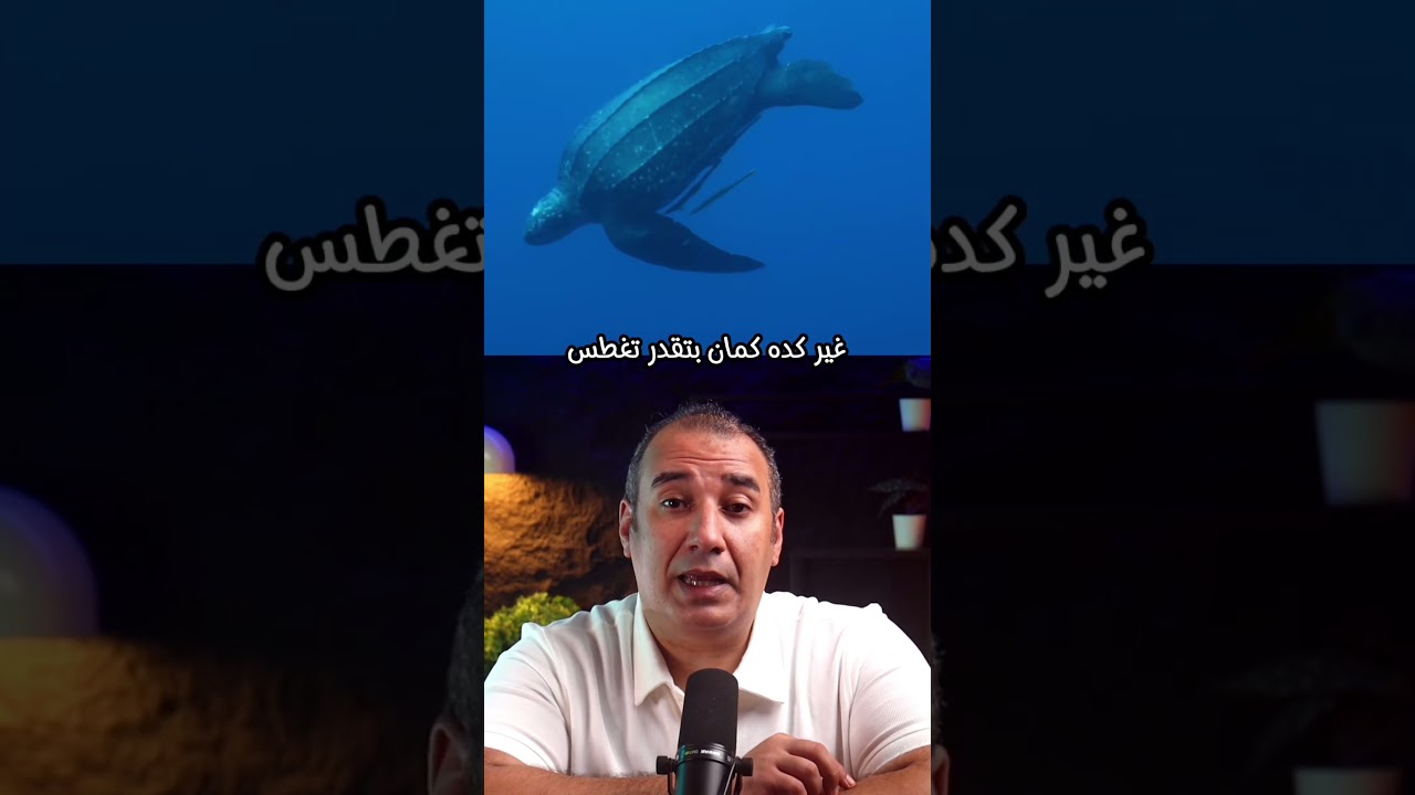 كانوا يظنون انه ديناصور 😅