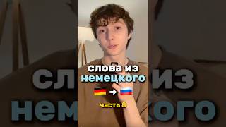Немецкие экспроприации 🥹 #язык #немецкий #немецкийязык #русский #русскийязык #учеба #изучение