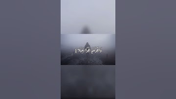 { وَاصْبِرْ عَلَىٰ ما يَقُولُونَ وَاهْجُرْهُمْ هَجْرًا جَمِيلًا } سورة المزمل ( الآية 10)
