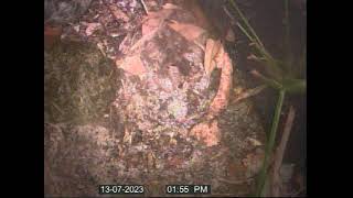 4301 32nd Ave N, Saint Petersburg #4  7/13/23