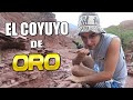 BUSCANDO EL COYUYO DE ORO EN CAFAYATE 🌵🏆🔍