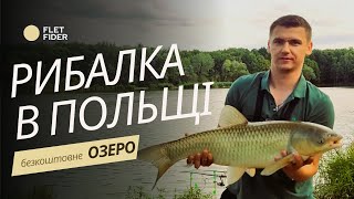 Рибалка в Польщі, ішов на карася і зловив щей амура на безкоштовному озері