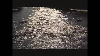 Aizn - Bubblehead Royalty Free Vlog Music