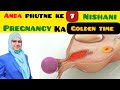 7 Signs of Egg Release in Women⁉️ Pregnancy Teherne Ka Sahi Waqt .Ovulation Symptoms Hindi.Ovulation