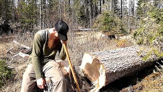 Bad Times Falling Leaning Tree at the Off Grid Cabin