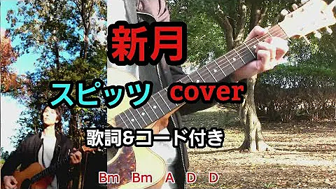 تحميل アパート スピッツ Spitz カバー 浅井しんや