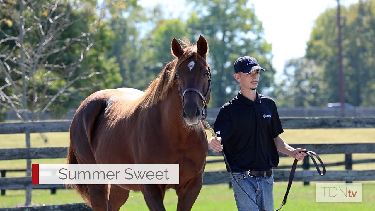 Мать лошади, готовящейся к Кубку заводчиков, чувствует себя прекрасно, продолжая наследие Пэйсона...