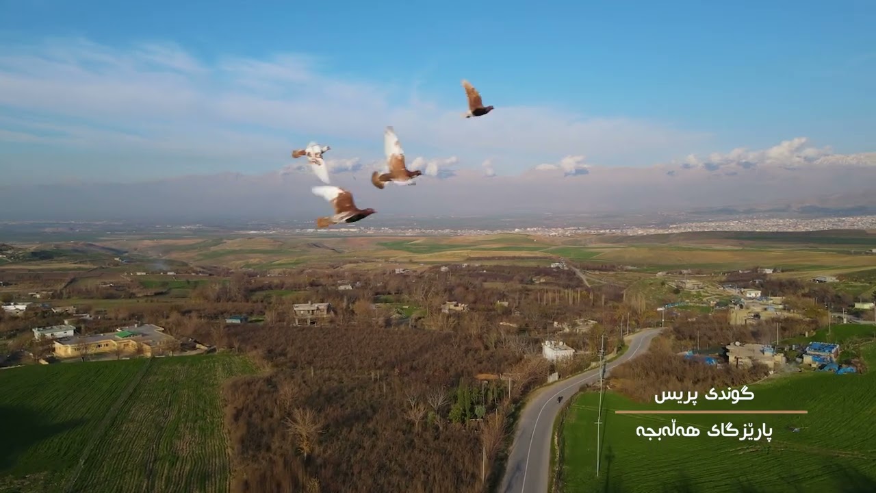 سروشتی گوندی پریس - زستانی 2023