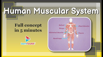 Class 6 Science Body Movements - The Human Muscular System - LearnFatafat