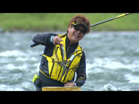 【釣り百景】#172 四国三郎・吉野川の良型鮎と出会う