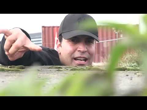 I No She Wants Me Back