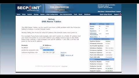 Protector UTM Advanced Menu DNS Name Tables