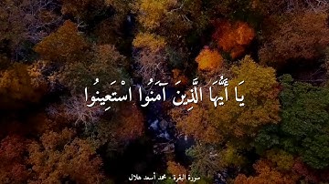 { يا أَيُّها الَّذينَ آمنُوا استعينوا بالصَّبر والصَّلَاة } القارئ : محمد أسعد هلال | من سورة البقرة