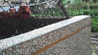 Cement Rendering on Brick Walls with Small Stone ( wash out small stone ) part 3