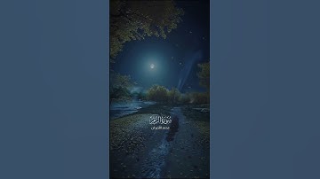 #سورة_الزمر #محمد_اللحيدان #اكسبلور #المصحف