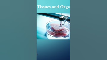 3D Bioprinting of tissues: for further details; WhatsApp us @ +94769111820