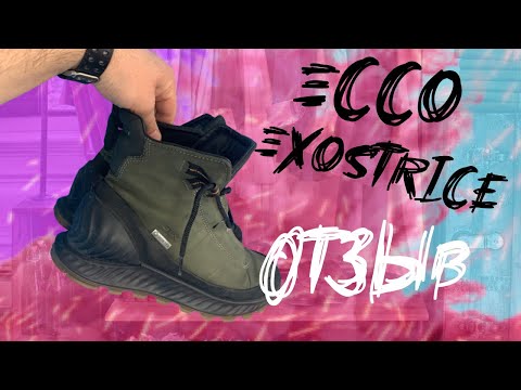 Video: ECCOs Exostrike Er Moon Boot-Esque Leather Sneaker Du Trenger