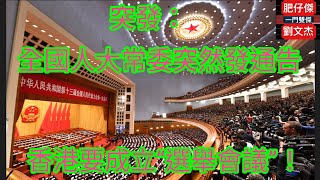 全國人大常委會突然發通告！香港要成立「選舉會議」！/一門雙傑 肥仔傑 劉文杰/2022年6月16日