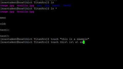 CSC 4201 NSA Lab 1 TitanPro Group