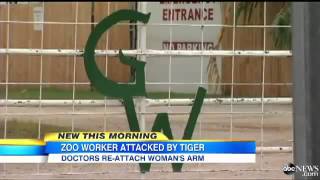 HORRORFYING Zoo Worker Attacked By TIGER VIDEO Tiger Rips Off Woman's Arm At Oklahoma Zoo