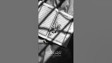 قراءة سورة الكهف يوم الجمعة لمن يريد النور بين الجمعتين☘️سورة الكهف #islamic #quran #quranquotes
