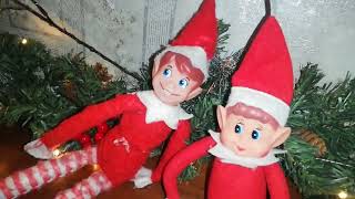 The Naughty Elves!