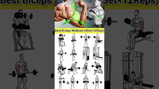 best Biceps workout #viral #trending #shorts #short #fitness #reels #song #viralvideo #exercise #op