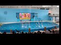 番外編 ももくろちゃんZ ぐーちょきSEAぱーてぃー 八景島シーパラダイス