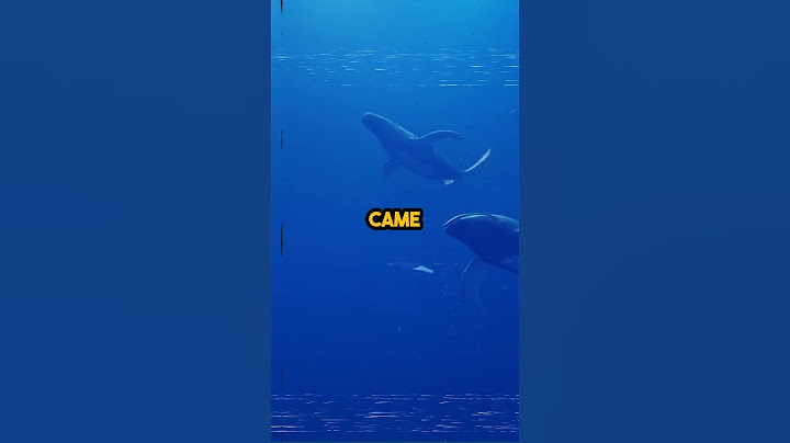 The Truth about the Mystery of The Bloop! 🐋🌊 #thebloop