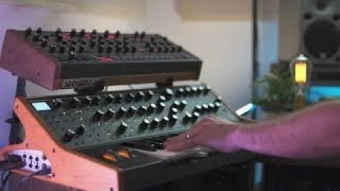 Lush sounds from my Subsequent 37 & Prophet 6!