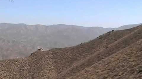 Dynamic Soaring Crash