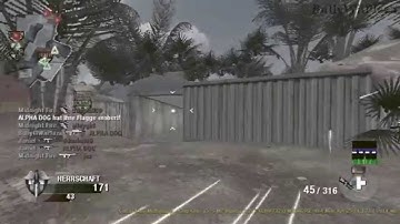 ~CoD 7 Wii~ Invisibility *NON HOST*