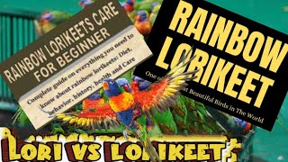 Complete Information About Lorikeet Parrots | Guide To Lory Parrot | Diet | Breeding | Temperament