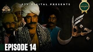 Jungle - Episode 14 [ Urdu Drama ] | PTV Digital