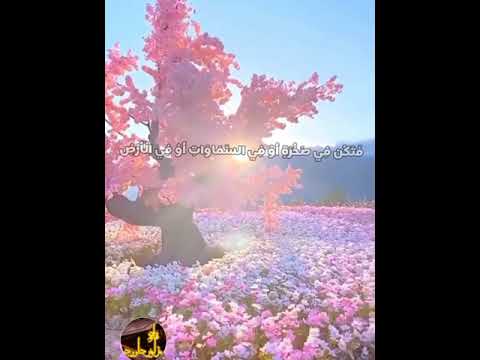 من روائع الشيخ محمد الليثى من سورة لقمان