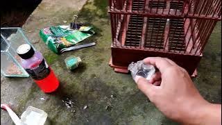 Aktivitas di Desa Sangen Kajoran Magelang