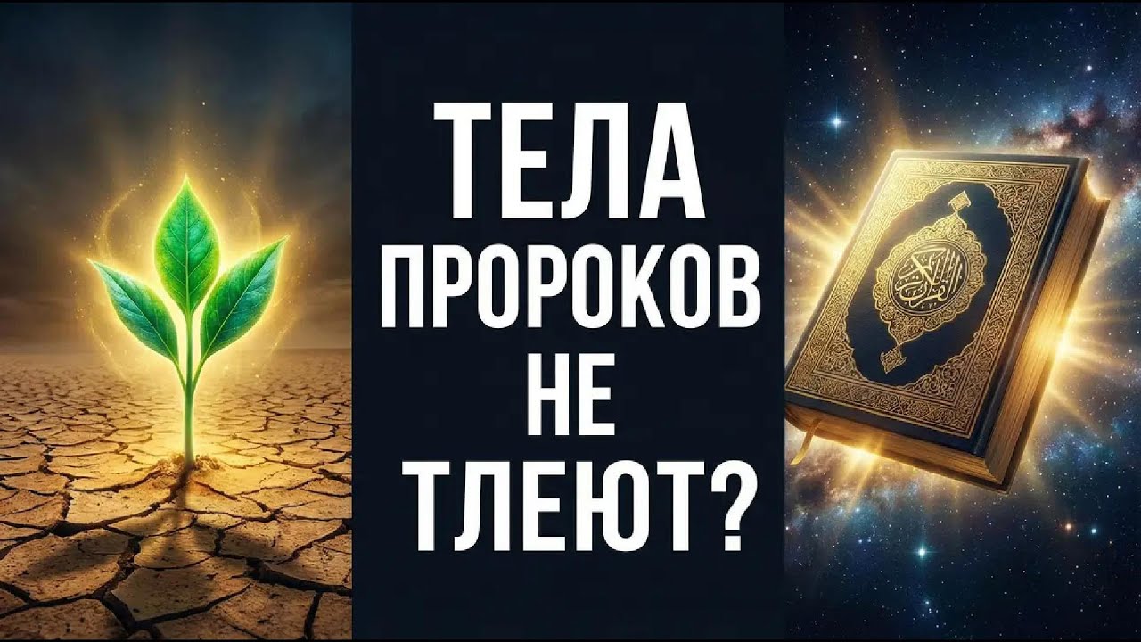 Правда ли, что тела Пророков не тлеют? 15 фактов, которые изменят ваше знание!