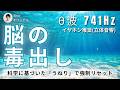 【音響療法】限界の脳を強制リセット。蓄積した毒素と疲労を排出する「4Hz(シータ波)」の「うねり」と741Hzの脳洗浄|自律神経を整える60分